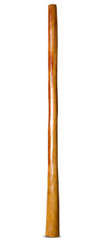 Gloss Finish Flared Didgeridoo (TW930)